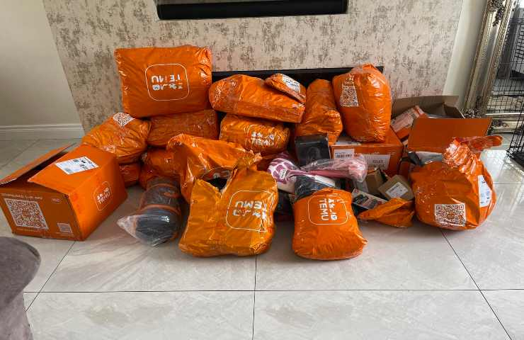 Gli italiani si fidano di Temu?